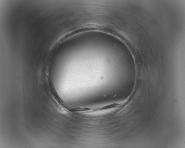 X0000069831355200605191129