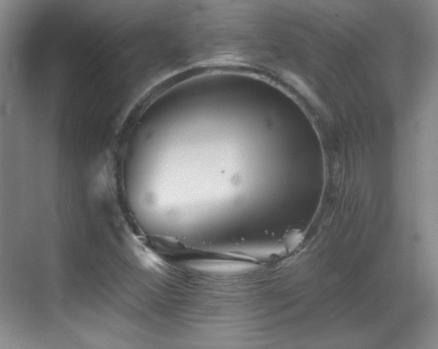 X0000069831356200605191129