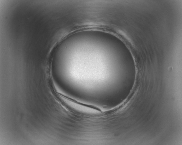 X0000069831357200605191129