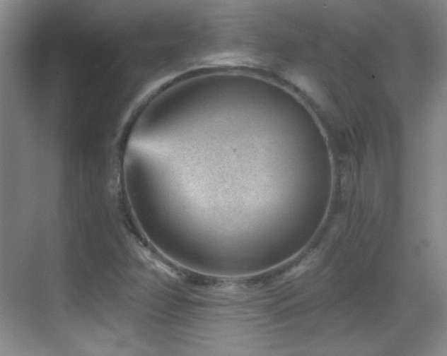 X0000069831358200605191129