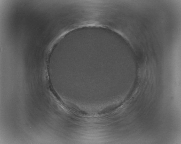 X0000069831359200605191129