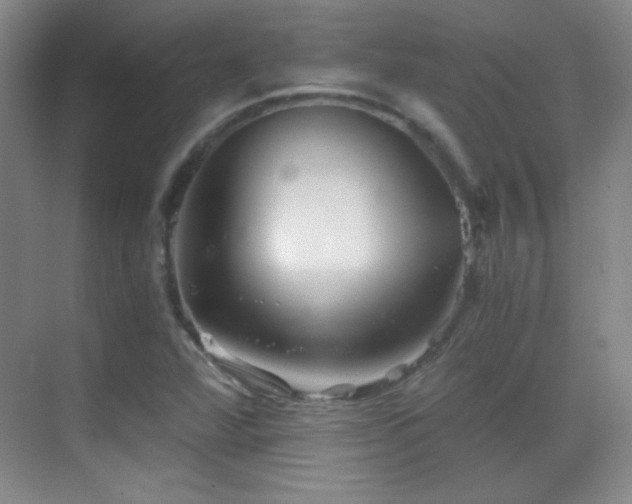 X0000069831360200605191129