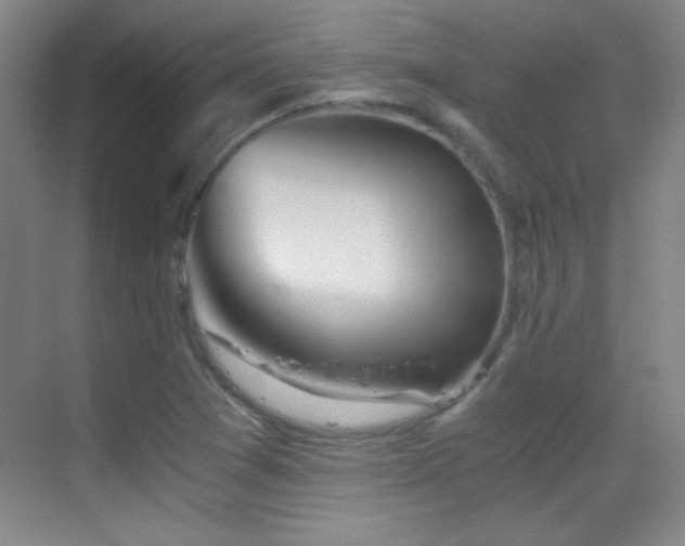 X0000069831361200605191129