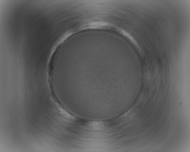 X0000069831362200605191129