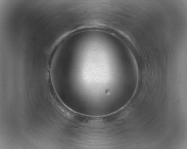 X0000069831363200605191129