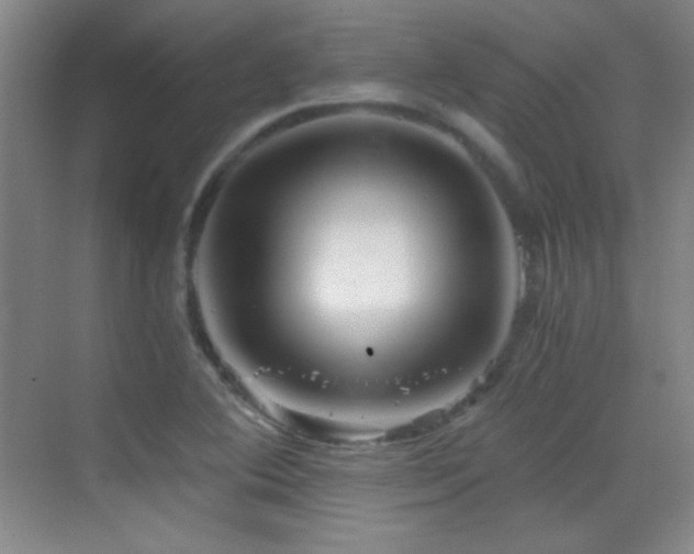 X0000069831364200605191129