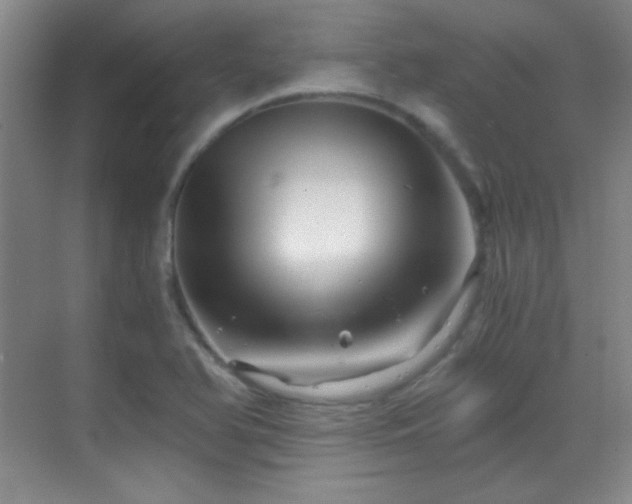 X0000069831366200605191129