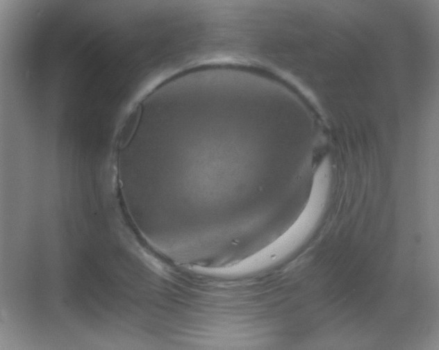 X0000069831367200605191129