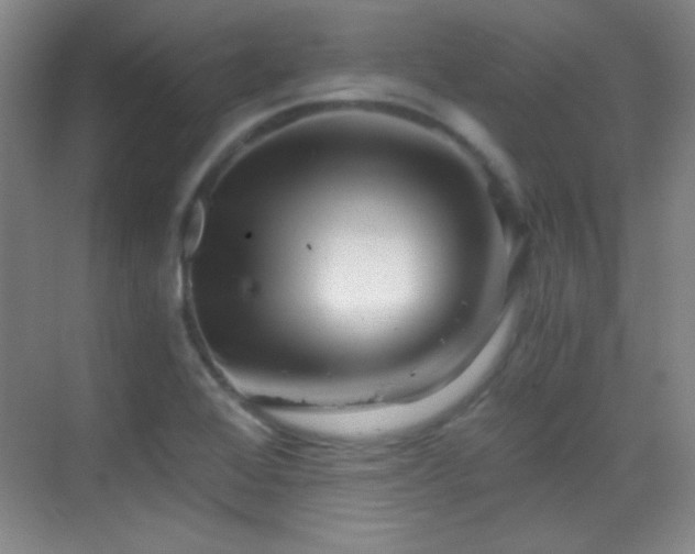 X0000069831368200605191129