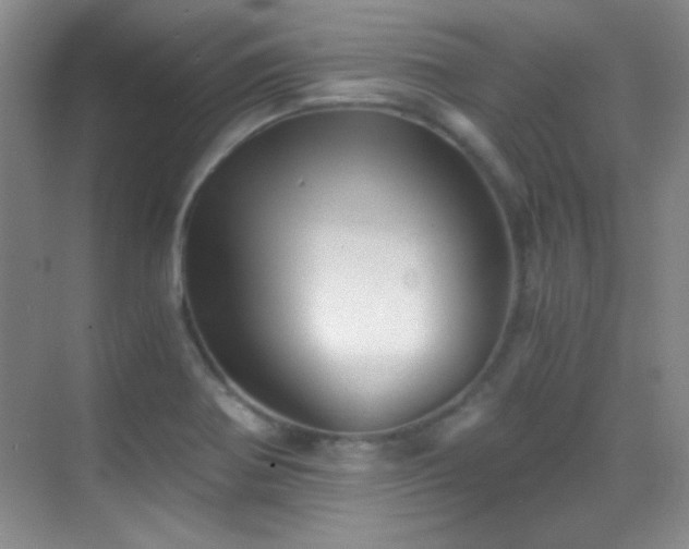 X0000069831370200605191129