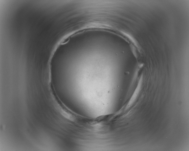 X0000069831371200605191129