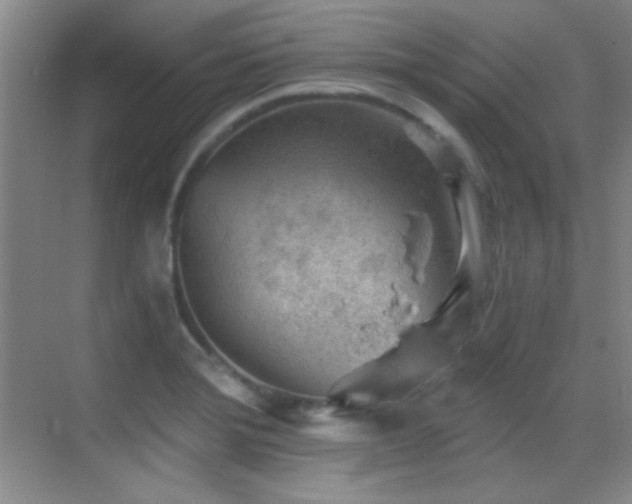 X0000069831372200605191129