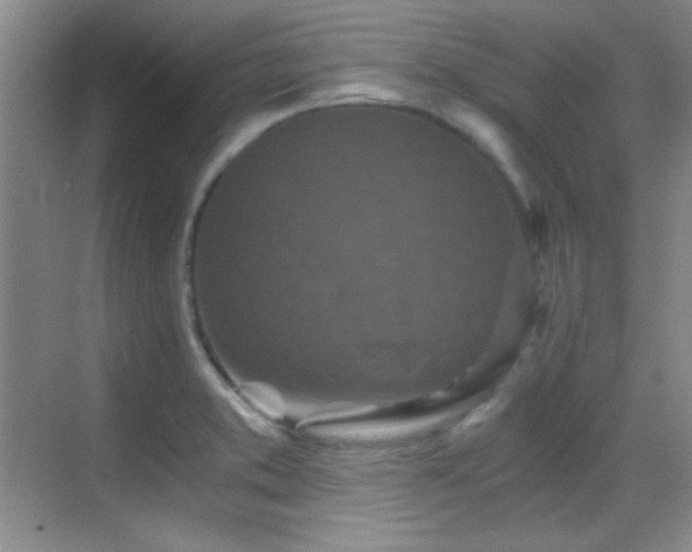 X0000069831373200605191129