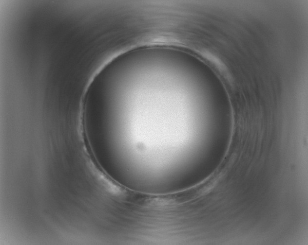 X0000069831374200605191129