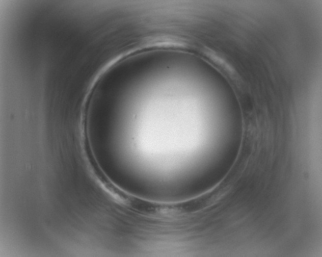 X0000069831375200605191129