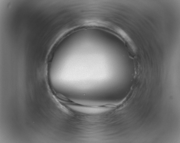 X0000069831376200605191129