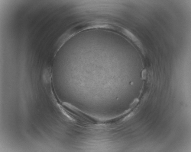 X0000069831377200605191128