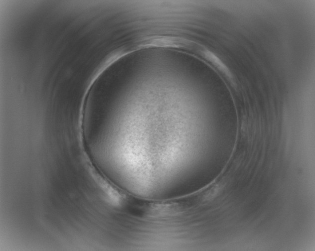 X0000069831378200605191128