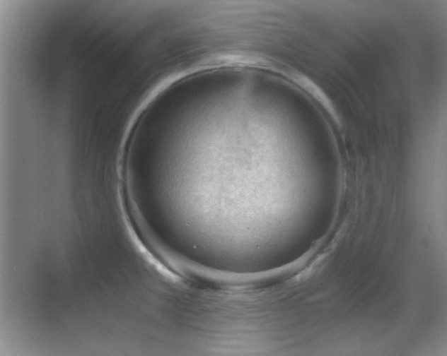 X0000069831381200605191128