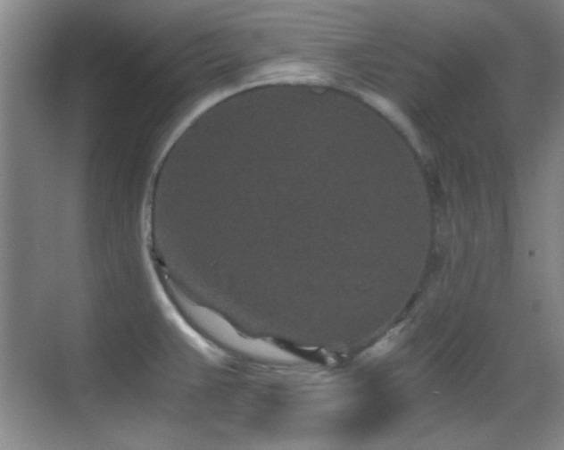 X0000069831383200605191128