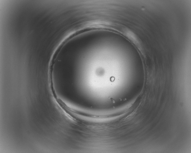 X0000069831384200605191128