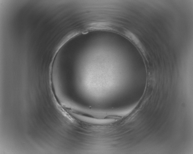 X0000069831386200605191128