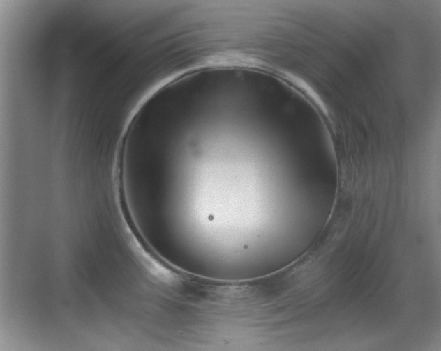 X0000069831387200605191128