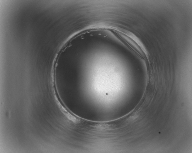 X0000069831388200605191128