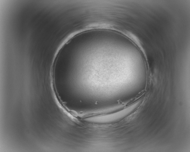 X0000069831389200605191128