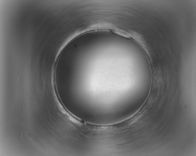 X0000069831390200605191128