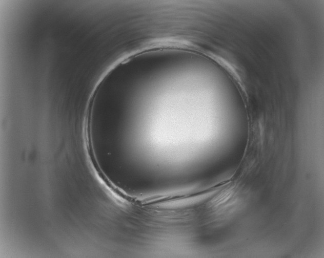 X0000069831391200605191128