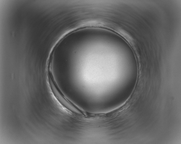 X0000069831392200605191128