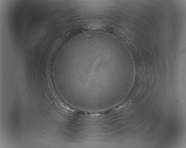 X0000069831393200605191127