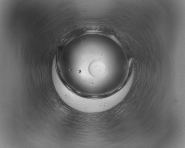 X0000069831394200605191127