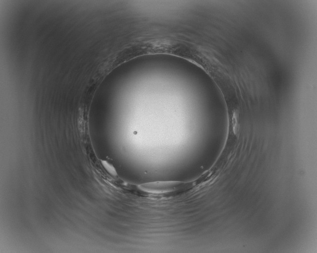 X0000069831395200605191127