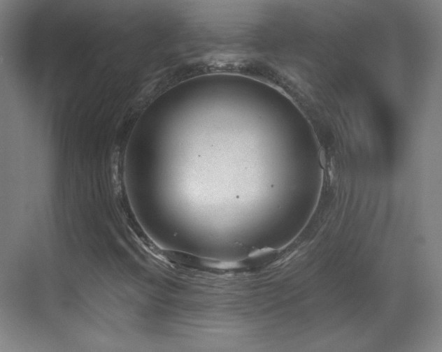 X0000069831396200605191127