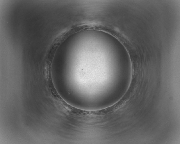 X0000069831398200605191127