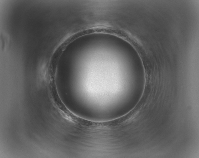 X0000069831400200605191128