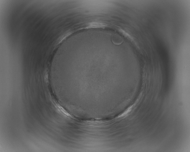 X0000069831401200605191128