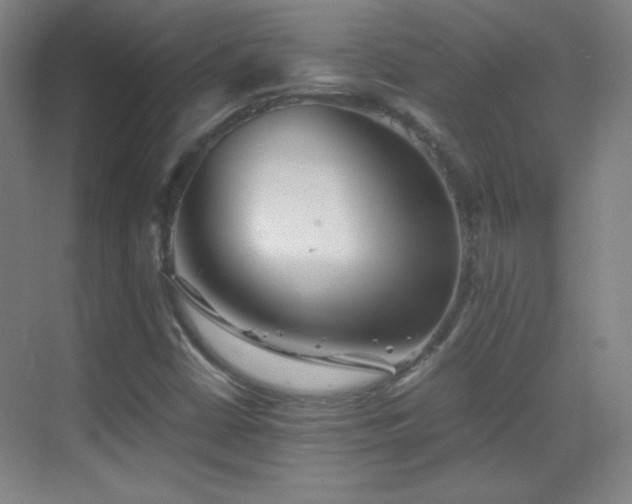 X0000069831402200605191128