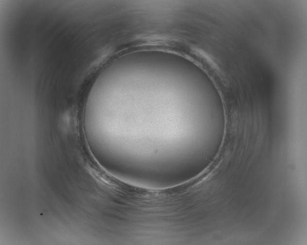 X0000069831403200605191128