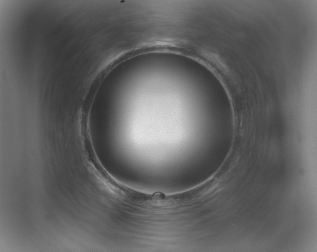 X0000069831404200605191128