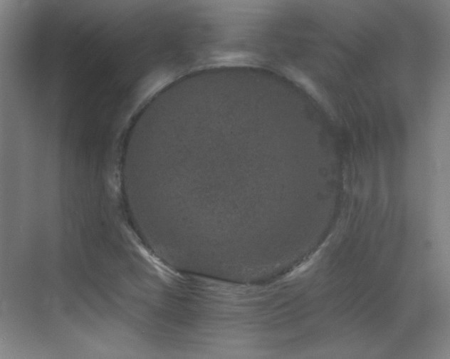 X0000069831405200605191128