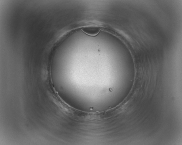 X0000069831407200605191128