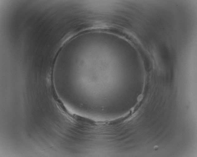 X0000069831409200605191128