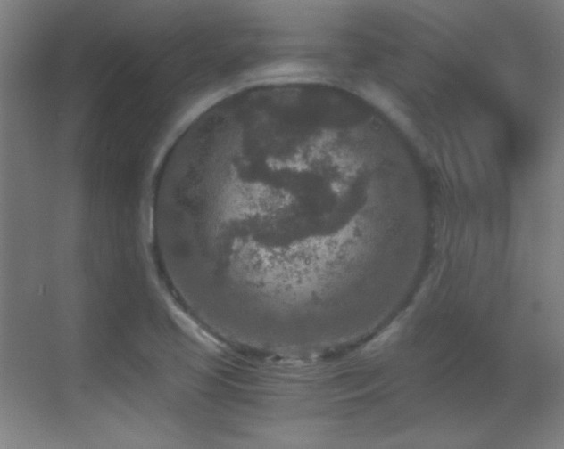 X0000069831413200605191128