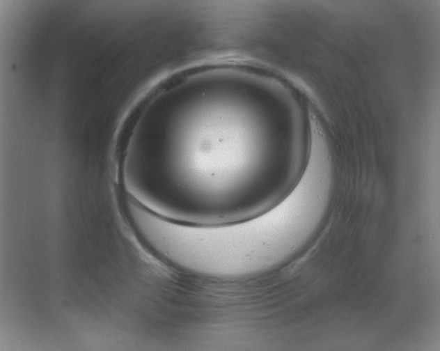 X0000069831414200605191128