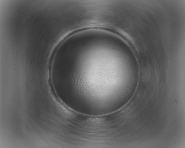 X0000069831415200605191128