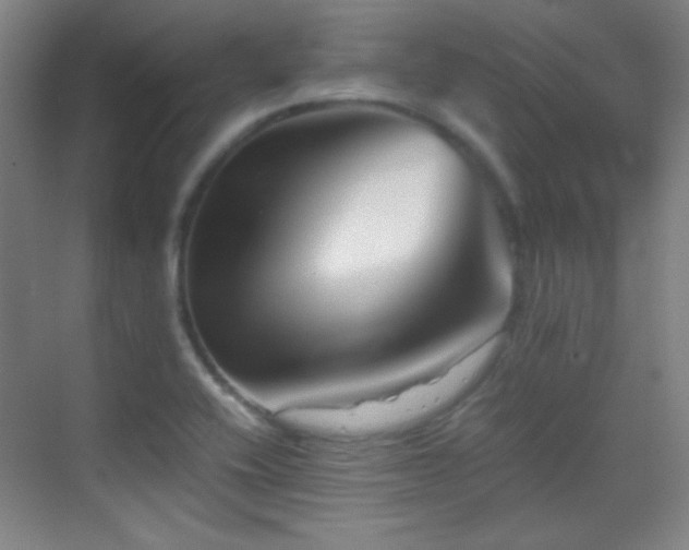 X0000069831416200605191128