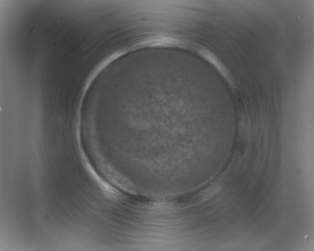 X0000069831418200605191128